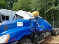 Photo 10 of 20 — 2020 Freightliner Cascadia 125