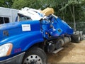 Photo 16 of 20 — 2020 Freightliner Cascadia 125