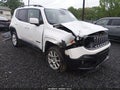 Photo 1 of 16 — 2016 Jeep Renegade