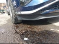 Photo 20 of 20 — 2021 Nissan Murano