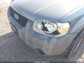 Photo 15 of 15 — 2005 Ford Escape