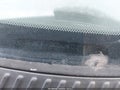 Photo 11 of 11 — 2003 Toyota Sienna