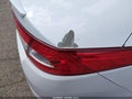 Photo 13 of 13 — 2012 Kia Optima