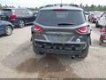 Photo 6 of 14 — 2015 Ford Escape