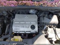 Photo 10 of 16 — 2005 Lexus RX 330