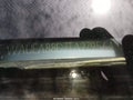 1996 Audi A4 Quattro — photo 9 of 12 | VIN WAUEA88D7TA279564