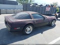 Photo 4 of 11 — 1984 Chevrolet Corvette