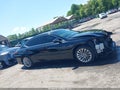 Photo 14 of 17 — 2019 Lexus ES 350