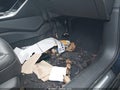 2021 Audi A6 — photo 6 of 11 | VIN WAUE3AF26MN064433