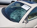 Photo 6 of 15 — 2006 Volkswagen Beetle