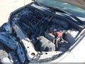 Photo 10 of 12 — 2008 Ford Focus