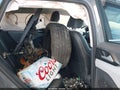 Photo 8 of 15 — 2023 Volkswagen Taos