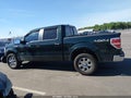 Photo 14 of 16 — 2013 Ford F-150