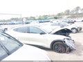 Photo 13 of 19 — 2025 Ford Mustang Mach-E