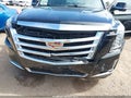 Photo 6 of 16 — 2019 Cadillac Escalade