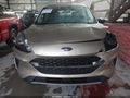 Photo 12 of 16 — 2021 Ford Escape