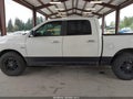 2009 Dodge Ram 1500 — photo 14 of 16 | VIN 1D3HV13T39S718120