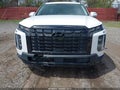 Photo 6 of 18 — 2023 Hyundai Palisade
