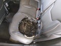 Photo 6 of 16 — 2022 Jeep Compass