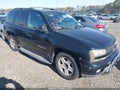 2003 Chevrolet Trailblazer — photo 1 of 16 | VIN 1GNGT13S432199260