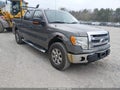 Photo 1 of 17 — 2014 Ford F-150