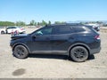 Photo 15 of 17 — 2023 Kia Sportage