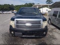 Photo 12 of 17 — 2009 Ford F-150