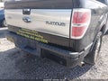 Photo 17 of 17 — 2009 Ford F-150
