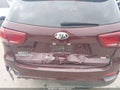 Photo 6 of 16 — 2019 Kia Sorento