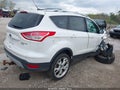 Photo 4 of 15 — 2013 Ford Escape
