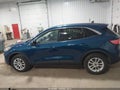 Photo 14 of 16 — 2020 Ford Escape