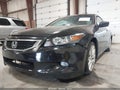 Photo 6 of 11 — 2010 Honda Accord