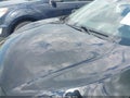 Photo 6 of 18 — 2019 Honda Civic