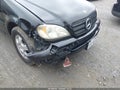 Photo 6 of 16 — 2003 Mercedes-Benz ML-Class