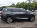 Photo 14 of 17 — 2020 Hyundai Santa Fe