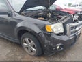 Photo 13 of 14 — 2011 Ford Escape