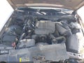 Photo 10 of 17 — 2006 Mercury Grand Marquis