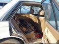 1986 Mazda 323 — photo 8 of 10 | VIN JM1BF2223G0169618