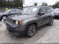 Photo 2 of 17 — 2016 Jeep Renegade