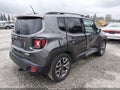 Photo 4 of 17 — 2016 Jeep Renegade