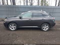 Photo 14 of 17 — 2010 Lexus RX 350