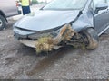 Photo 6 of 15 — 2020 Toyota Corolla