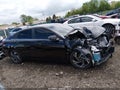 Photo 14 of 17 — 2025 Hyundai Elantra