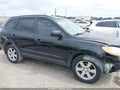 Photo 14 of 17 — 2008 Hyundai Santa Fe