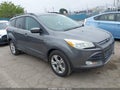 2014 Ford Escape — photo 1 of 11 | VIN 1FMCU0G97EUB01392