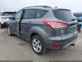 2014 Ford Escape — photo 3 of 11 | VIN 1FMCU0G97EUB01392