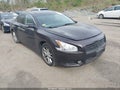 Photo 1 of 16 — 2010 Nissan Maxima