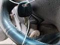 Photo 11 of 11 — 2002 Hyundai Santa Fe