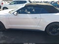 Photo 14 of 16 — 2021 Ford Mustang