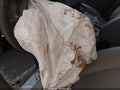 Photo 13 of 19 — 2018 Ford Transit-250